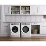 Washer_21Kg_EFDE317TIW_Laundry_Frigidaire_English